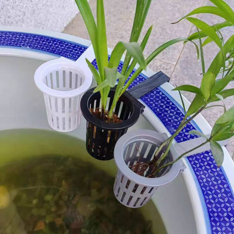 1/3Pcs Aquarium Plant Basket W - đánh giá và giá Aquarium Plant Holder
