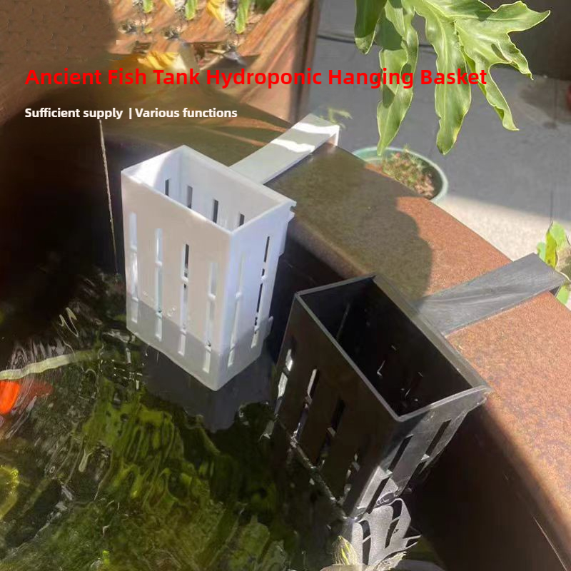 1/3Pcs Aquarium Plant Basket W - đánh giá và giá Aquarium Plant Holder