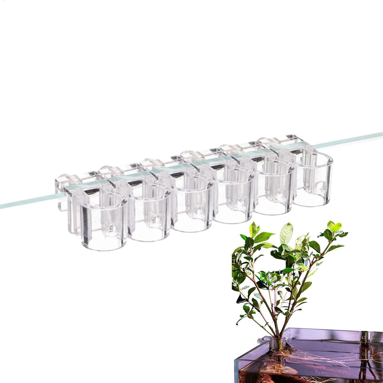 Aquarium Plant Basket Transpar - đánh giá và giá Aquarium Plant Holder