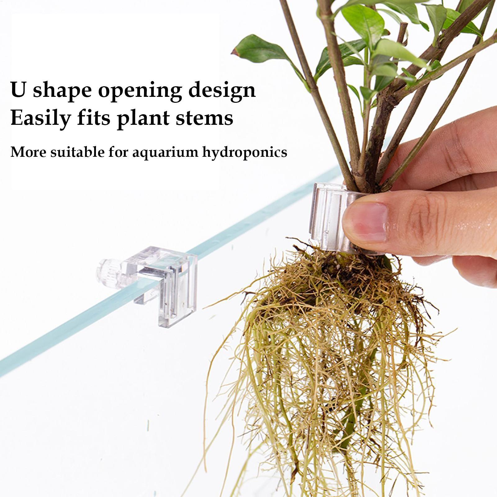 Aquarium Plant Basket Transpar - đánh giá và giá Aquarium Plant Holder