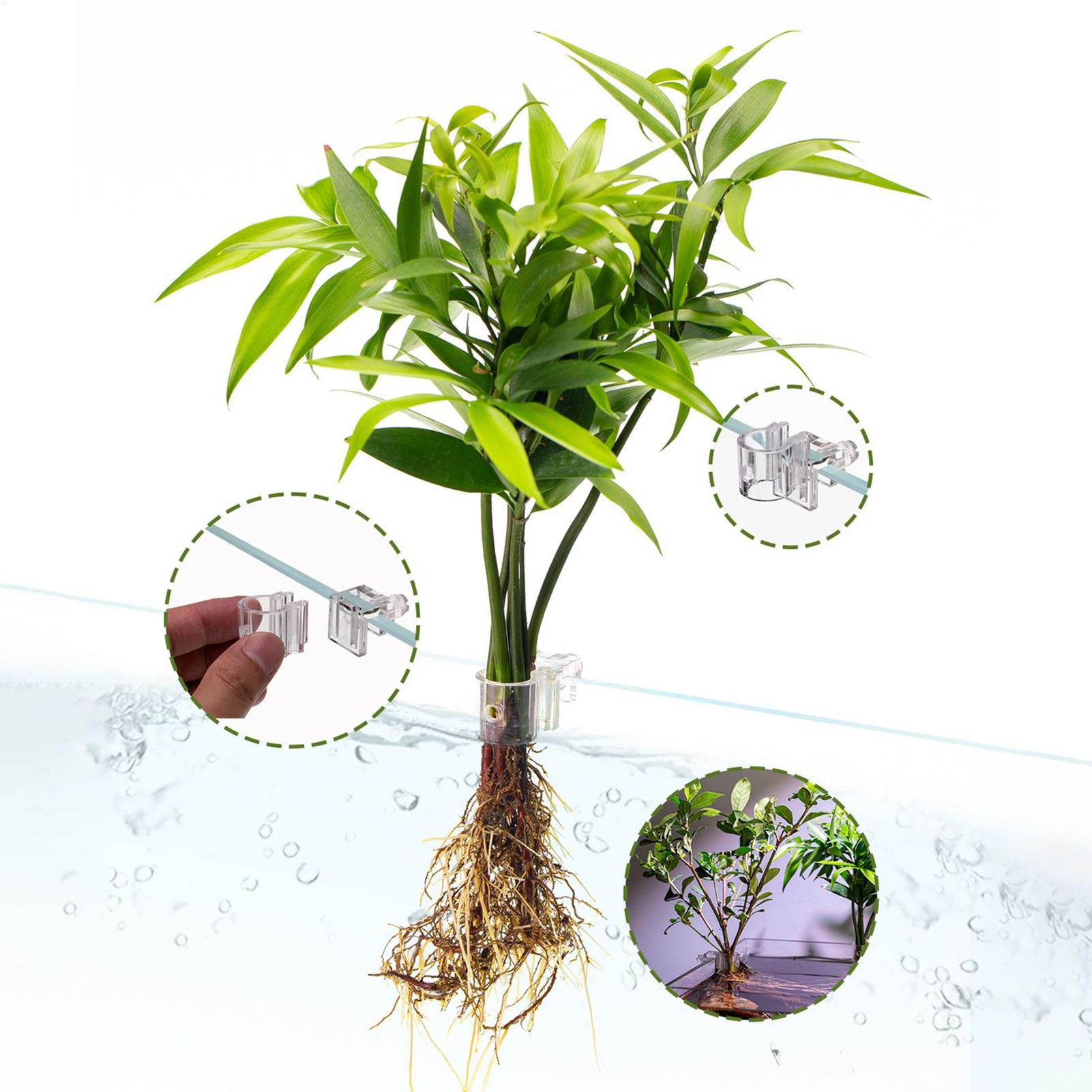 Aquarium Plant Basket Transpar - đánh giá và giá Aquarium Plant Holder