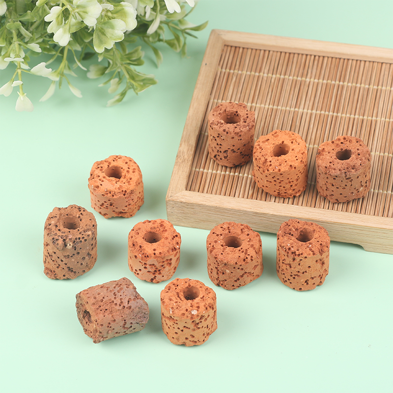 ^10Pcs Plant Ring Aquarium Fix - đánh giá và giá Aquarium Plant Utensils