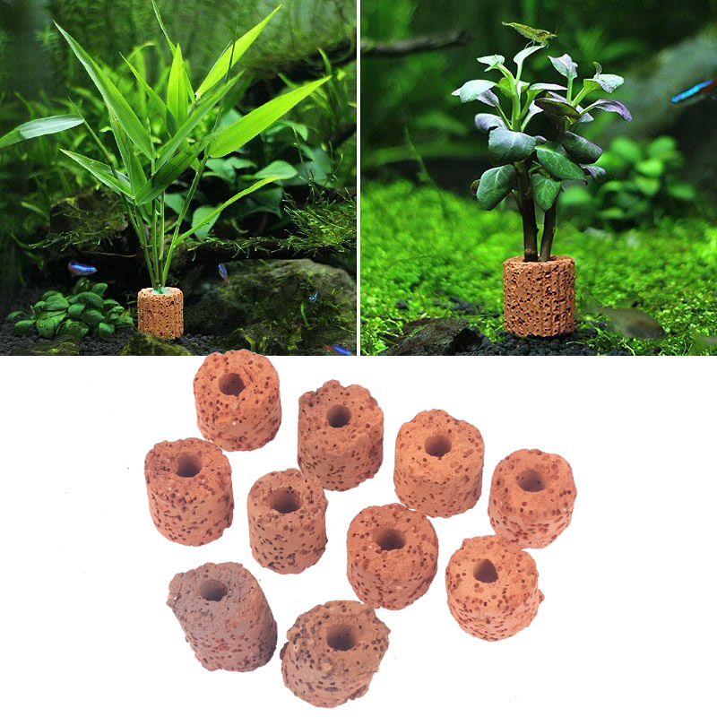 ^10Pcs Plant Ring Aquarium Fix - đánh giá và giá Aquarium Plant Utensils