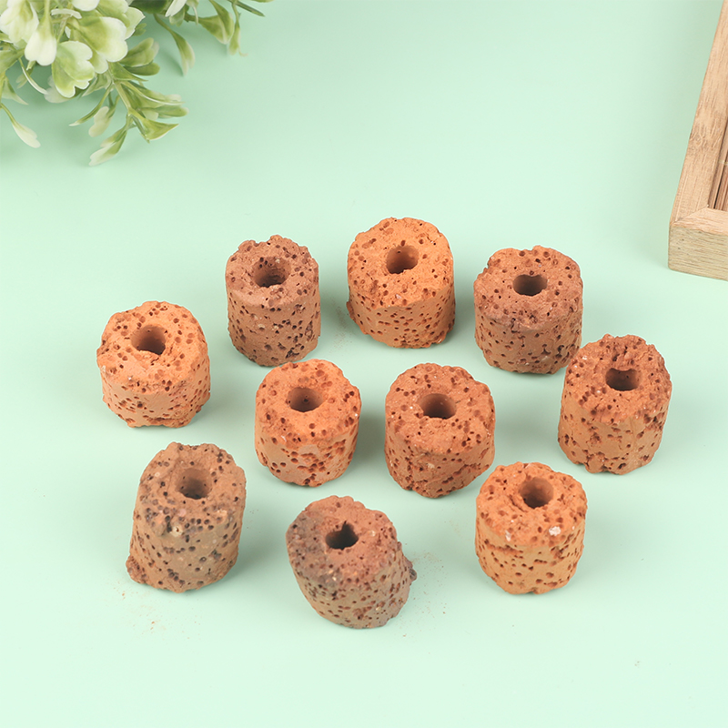 ^10Pcs Plant Ring Aquarium Fix - đánh giá và giá Aquarium Plant Utensils
