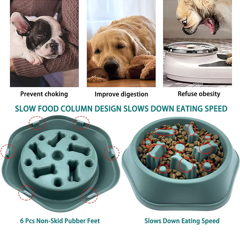 Slow Feeder Dog Bowl Anti-chok - đánh giá và giá Royal Canin Food Medium