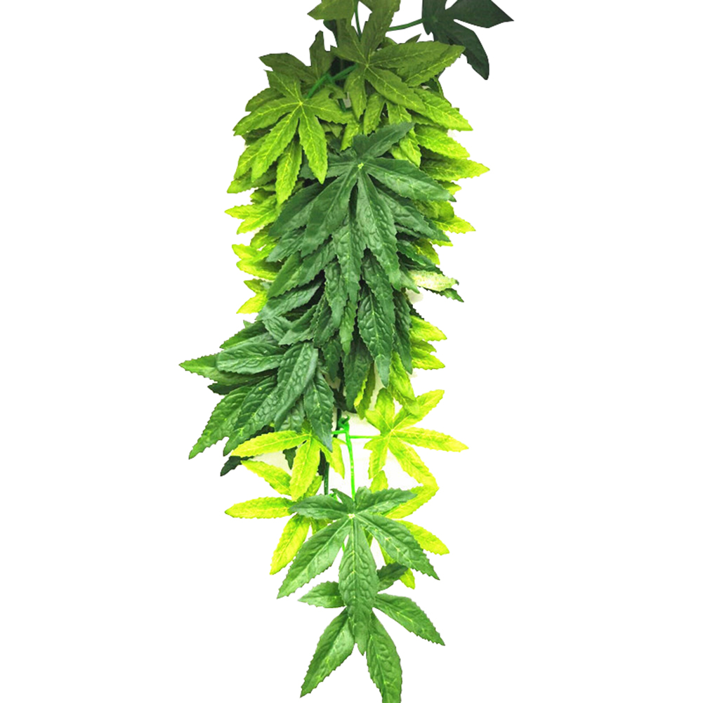 Bán 30/40/50CM Bể Cá Bò Sát Cá - đánh giá và giá Planted Aquarium For Sale