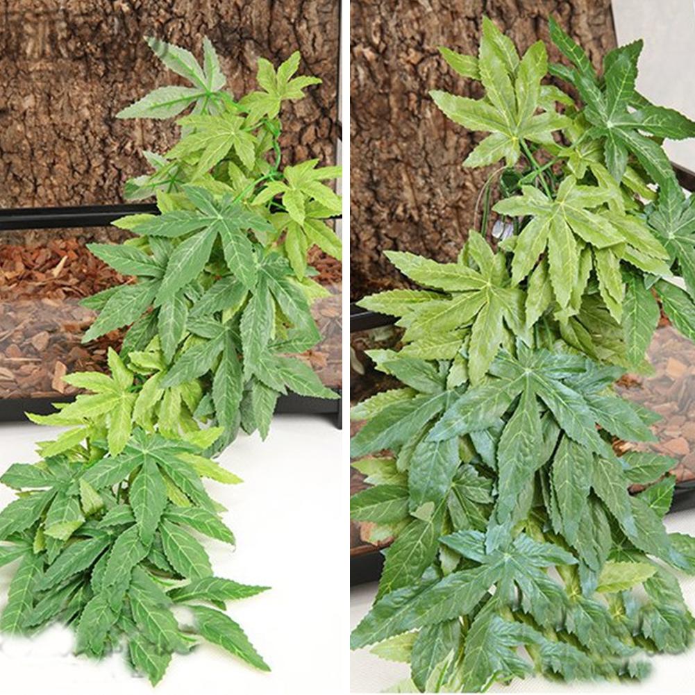 Bán 30/40/50CM Bể Cá Bò Sát Cá - đánh giá và giá Planted Aquarium For Sale