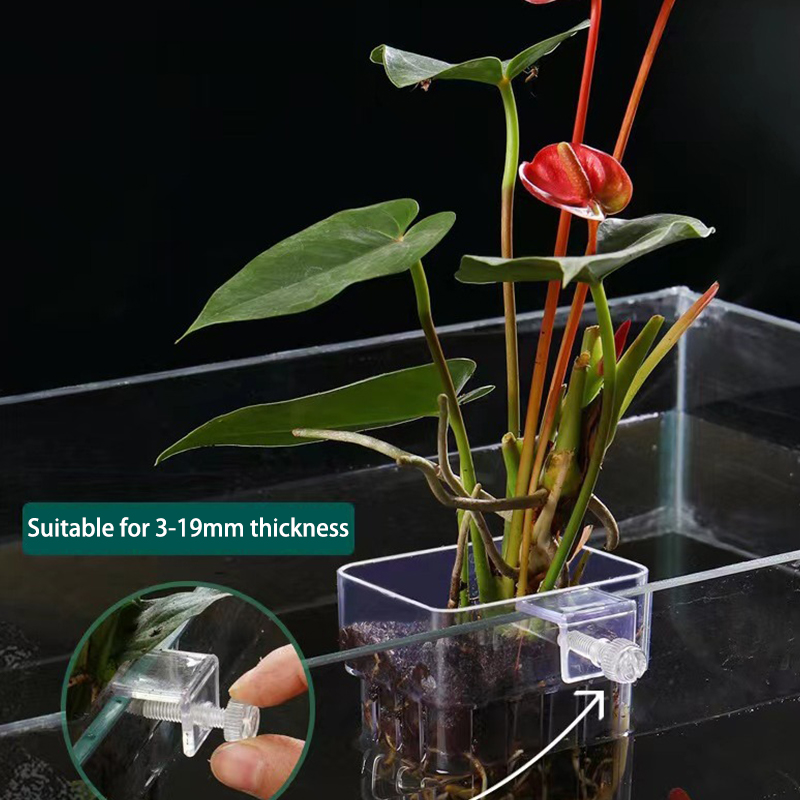 Multifunctional Fish Aquarium  - đánh giá và giá Aquarium Planted Fish
