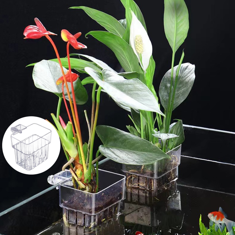 Multifunctional Fish Aquarium  - đánh giá và giá Aquarium Planted Fish