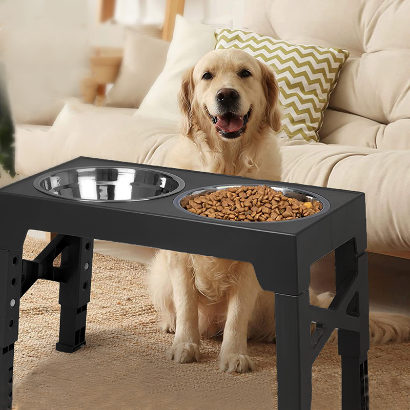 BOOTEELY Elevated Dog Feeder B - đánh giá và giá Royal Canin Food Medium