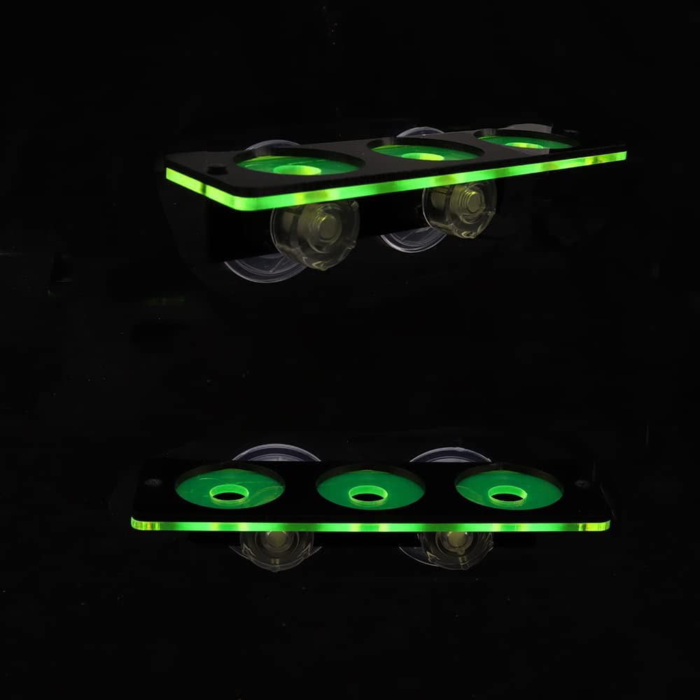 Cá Huỳnh Quang San Hô Frag-he  - đánh giá và giá Aquarium Plant Holder
