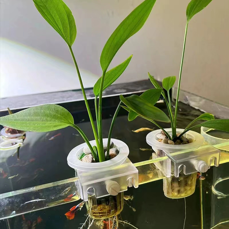 Aquarium Planting Basket Hydro - đánh giá và giá Aquarium Plant Holder