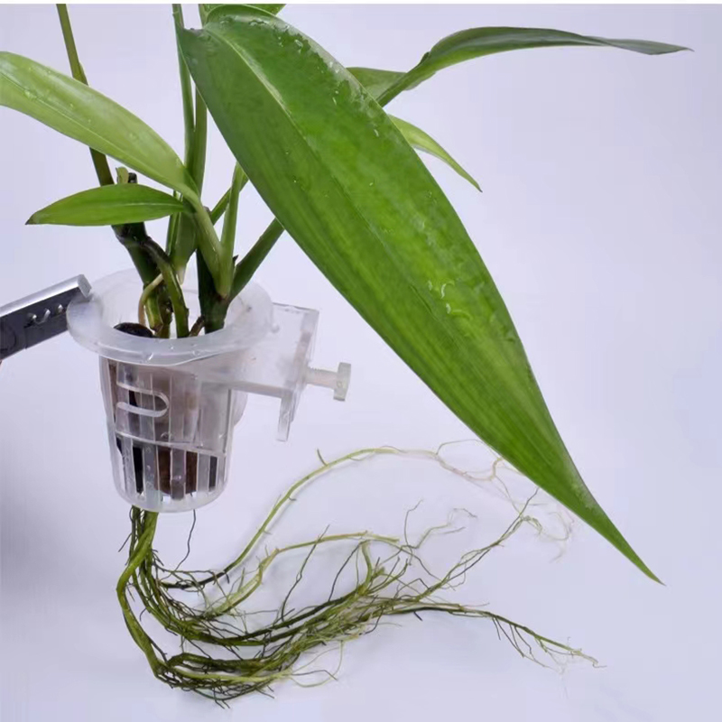 Aquarium Planting Basket Hydro - đánh giá và giá Aquarium Plant Holder
