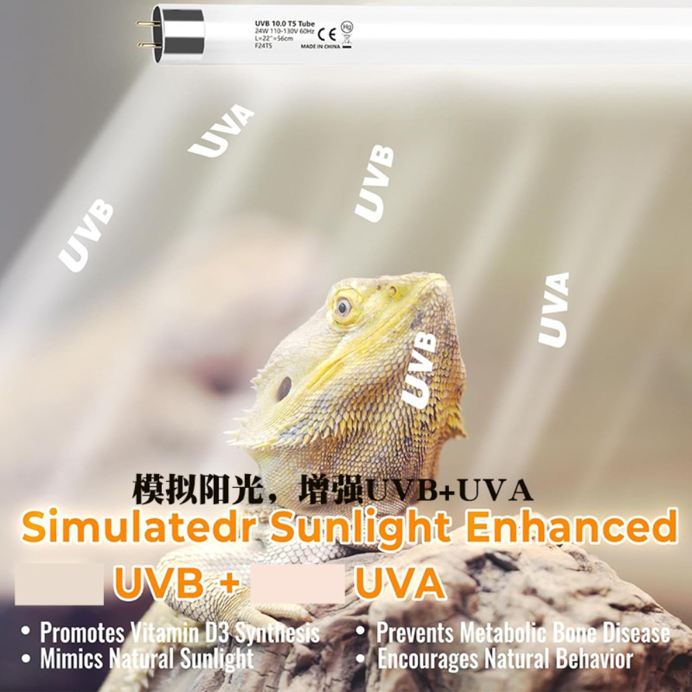 Planted and Reptile Terrarium  - đánh giá và giá Led Planted Tank Light